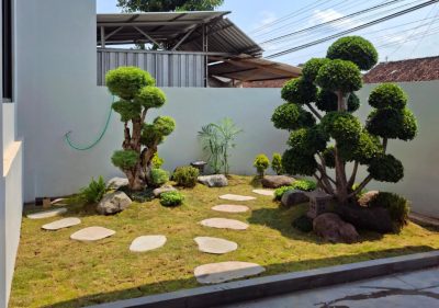 Taman Minimalis vs Taman Tropis, Mana yang Cocok untuk Rumah di Jogja?